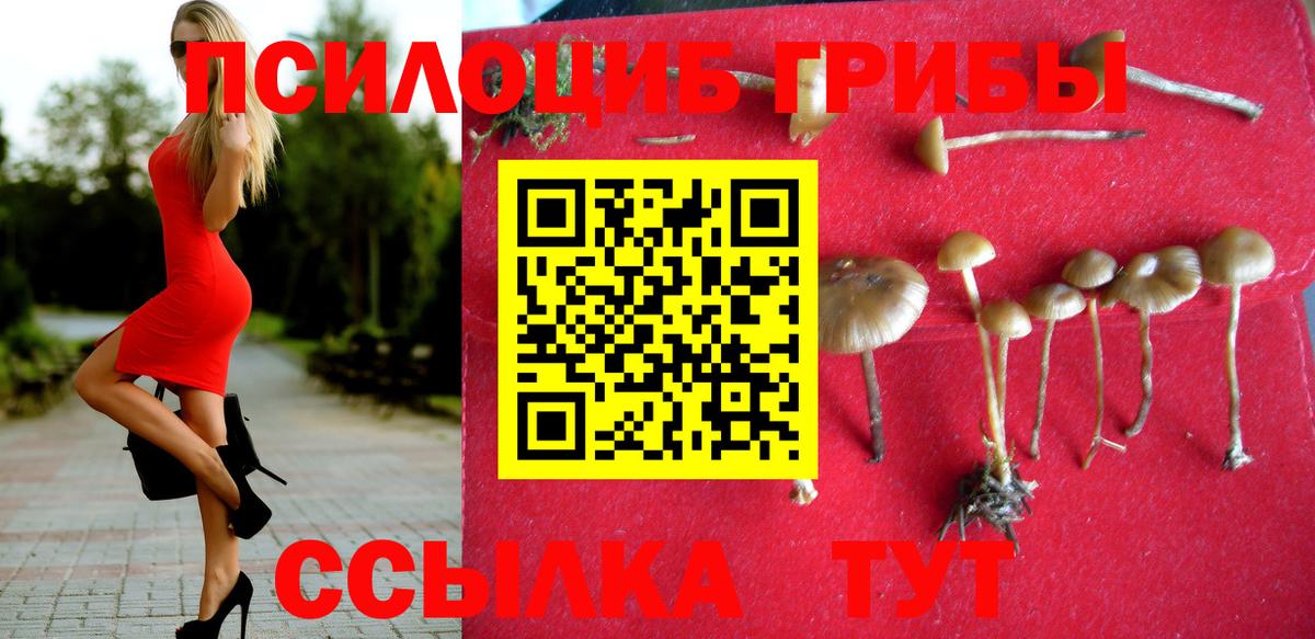 Верхний Уфалей  Галлюциногенные грибы GOLDEN TEACHER  где продают   Вход с VPN 