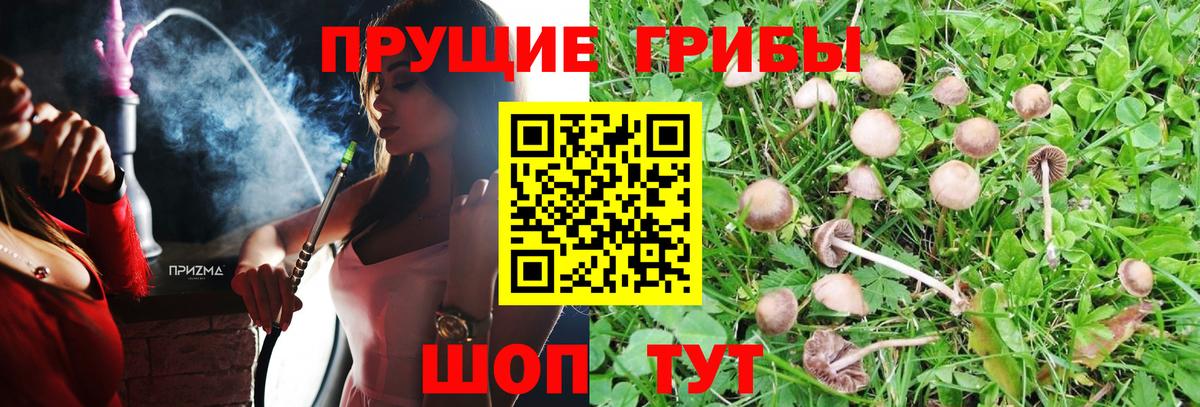 Галлюциногенные грибы MAGIC MUSHROOMS Верхний Уфалей