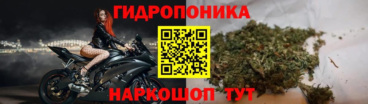 Бошки Шишки White Widow Верхний Уфалей